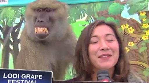 News Bloopers 2013