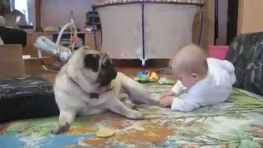 Perro y bebé