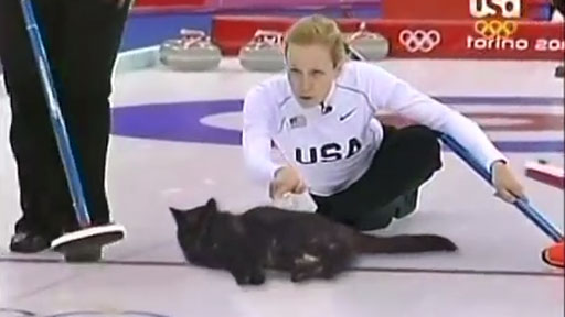 Curling con gatos