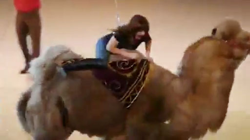 Montando en camello