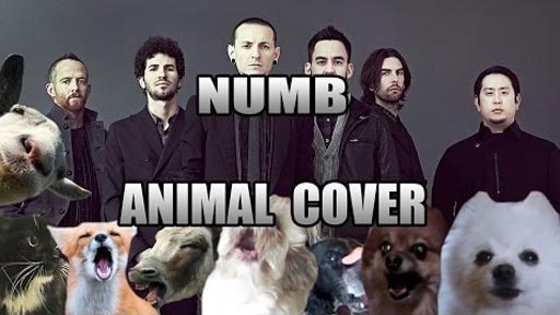 Linkin Park - Numb (Animal Cover)