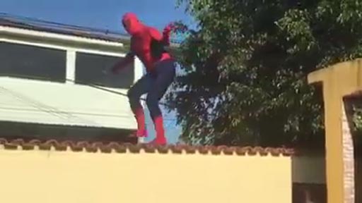 Aparece Spider-Man por los tejados!