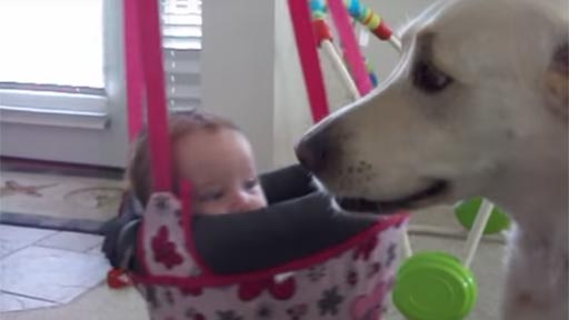 Perros y bebés: los mejores amigos