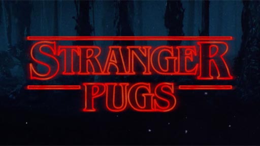 Stranger Pugs