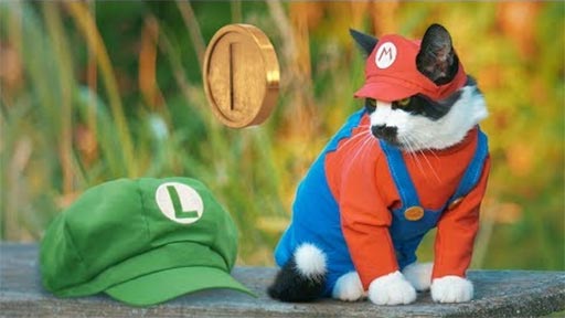 Super Mario Cat Bros