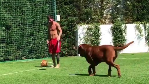El perro de Messi jugando al ftbol