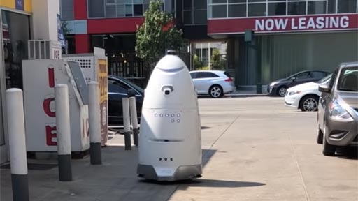 Robot vigilante