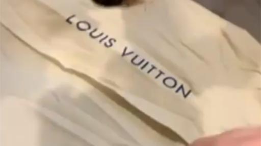 Mi nuevo bolso Louis Vuitton