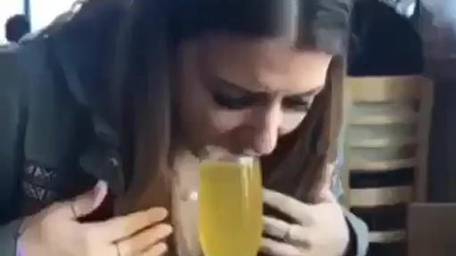 Beber sin manos