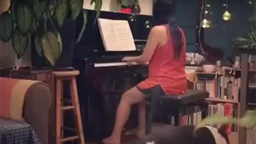 Tocando el piano en compaa de su perro