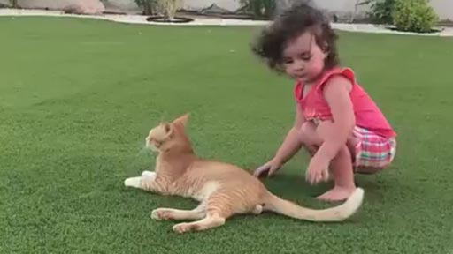 Jugando con el gato